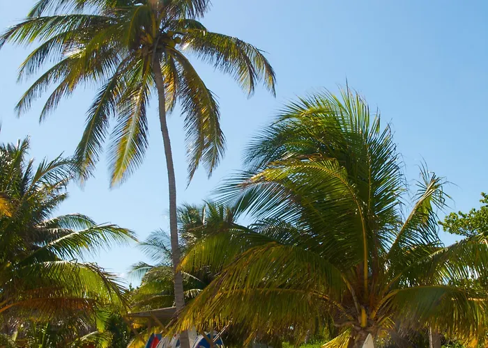 Caribbean 4*